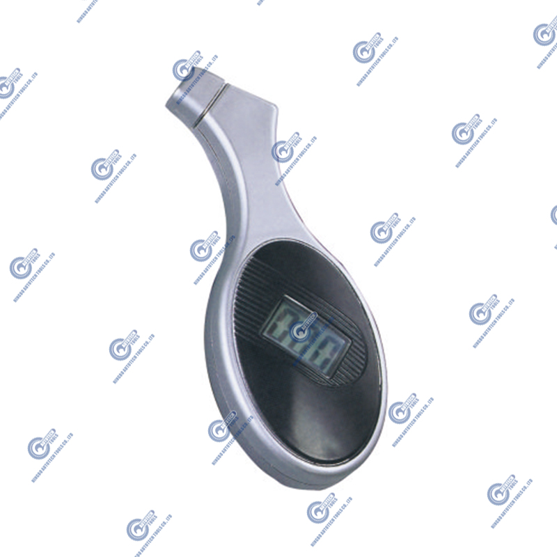 DTG-04 Digitalna mjera guma (5-100 psi)